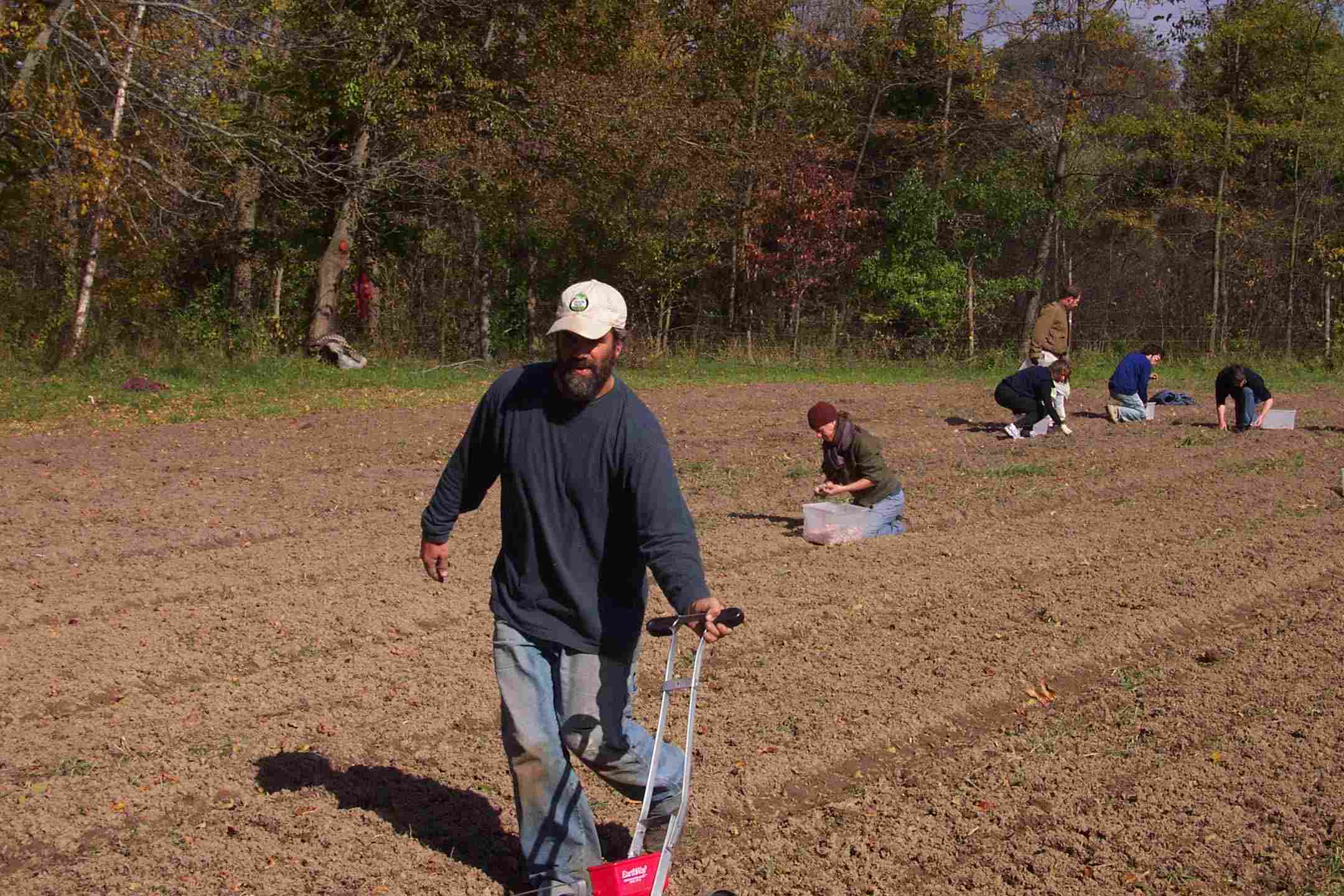 Dennis marking rows